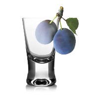 Zwack Pálinkamanufaktúra, Kecskemét  - Zwack Pálinka Manufaktúra